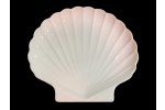AA1030 SHELL PLATE 8""